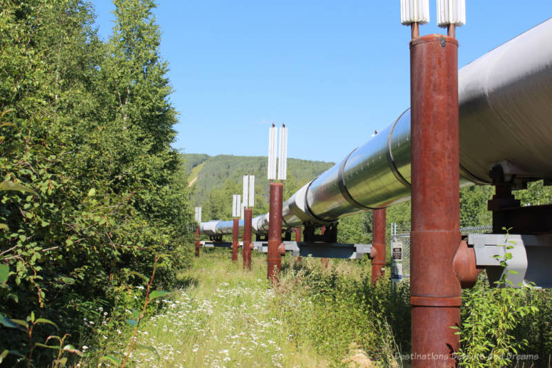 Fairbanks in Summer: Alaska Pipeline Above ground cylinder pipe of the Alaska pipeline