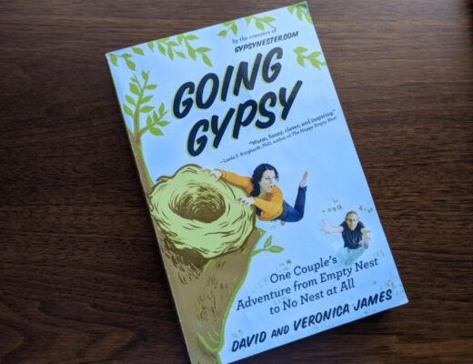Cover of the book Going Gypsy