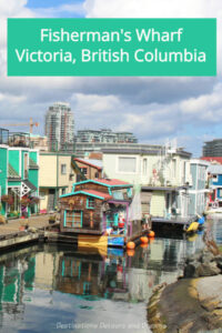 Fisherman's Wharf in Victoria, British Columbia is a colourful spot to visit: seafood, sea life, water adventures, shops, relaxed vibe