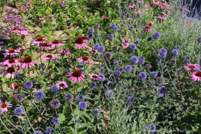 Gardens At The Leaf in Winnipeg, Manitoba Destinations Detours and Dreams