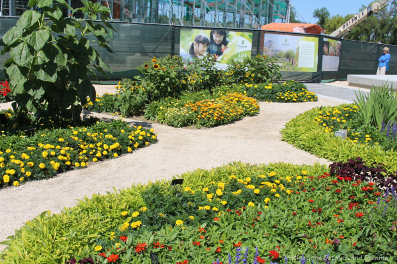 Collection of garden beds with pathway between them at the Kitchen Gardens at the Leaf Gardens in Winnipeg, Manitoba