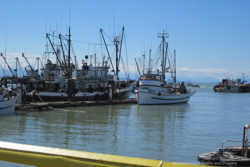 Boats in the harbour at Steveston, British Columbia