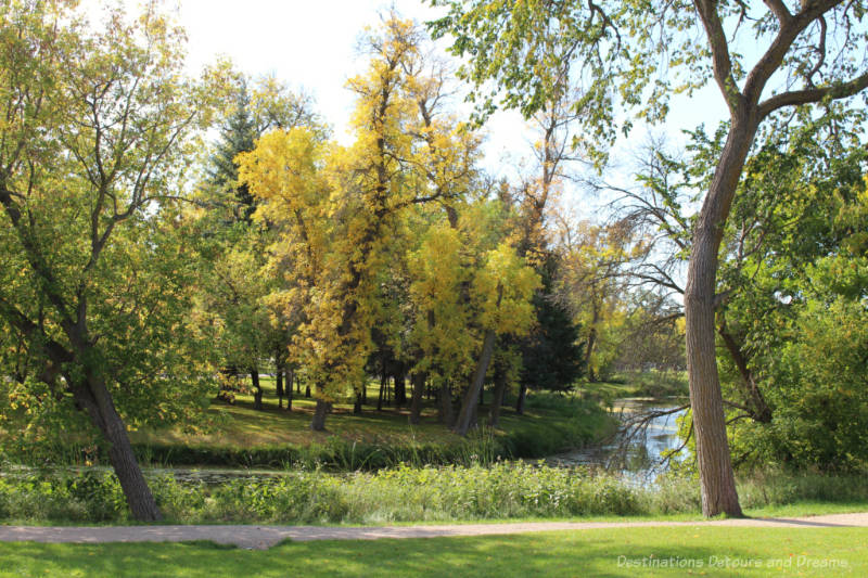 Trees with leaves turning yellow in fall along the curve of a small river in Manitoba