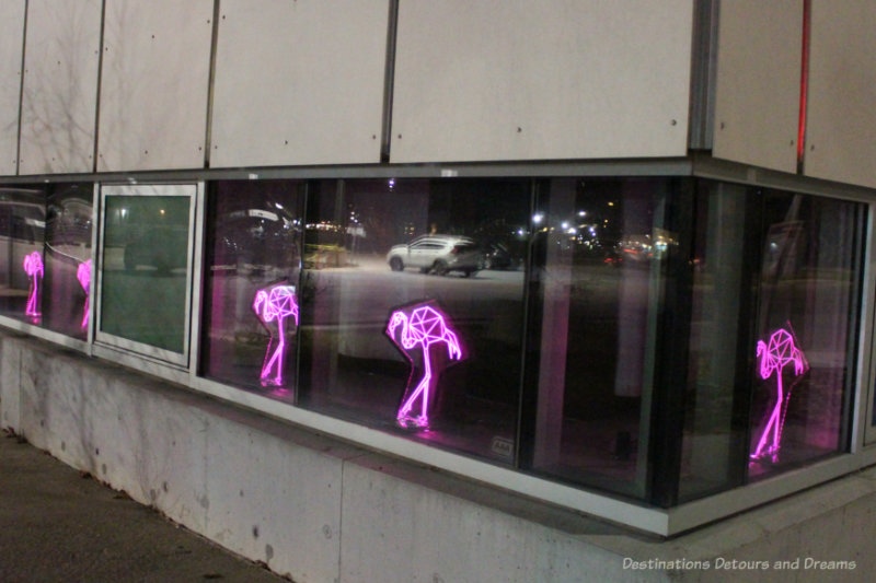 Lit up pink flamingos in a window as part of Winnipeg Nuit Blanche 2021