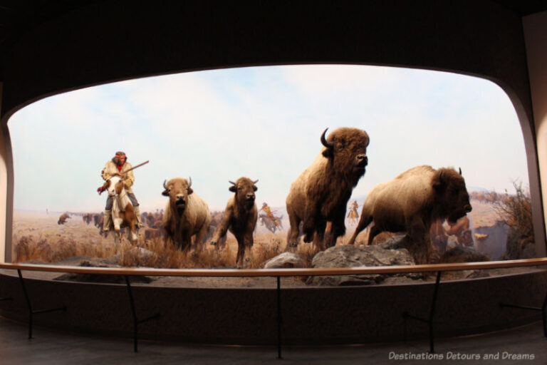 Man And Nature In Manitoba Museum Galleries