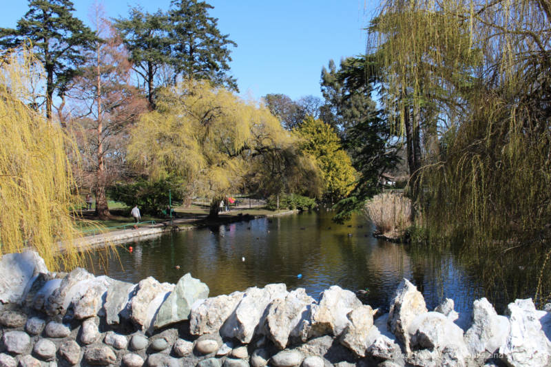 Pond in a park surrounded by trees and a walkway - Beacon Hill Park in Victoria