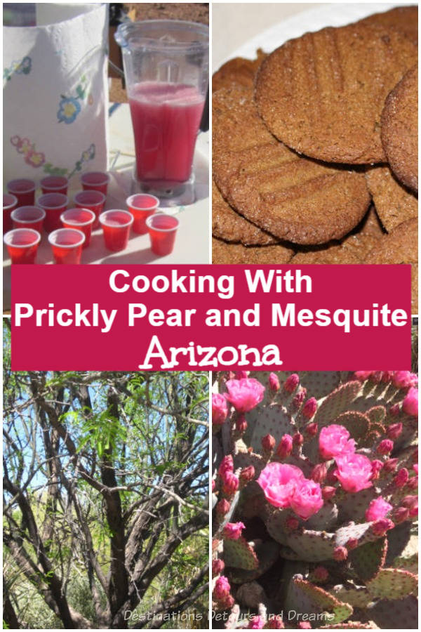 Cooking With Prickly Pear And Mesquite In Arizona: Learning about cooking with prickly pear and with mesquite at the Superstition Mountain Museum Prickly Pear/Mesquite Festival in Apache Junction, Arizona