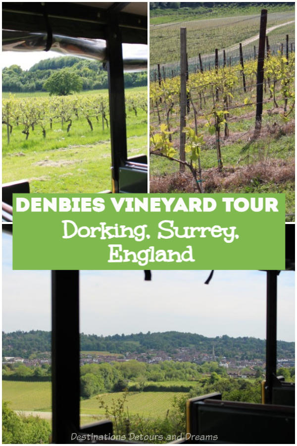 Denbies Wine Esate Vineyard Tour in Dorking, Surrey: A scenic vineyard tour at one of the United Kingdom’s largest wine producers. #England #Surrey #winery #Dorking #SurreyHills