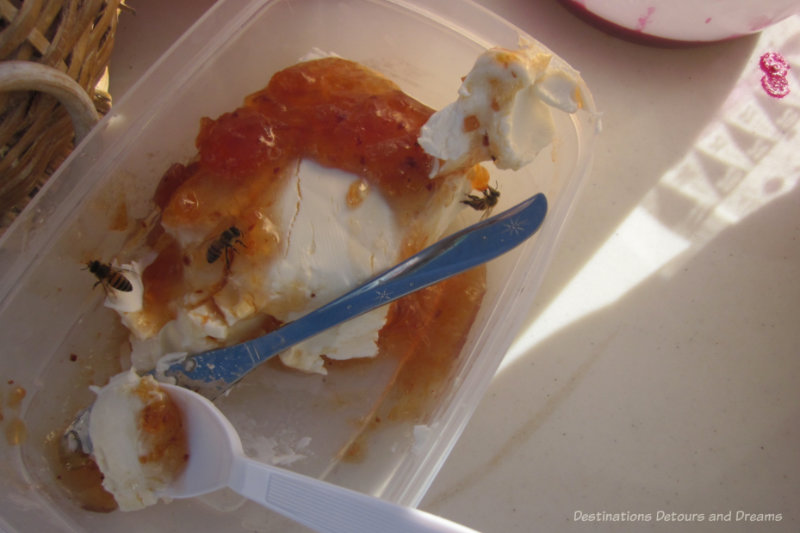 Bees eating prickly pear jelly atop a block of cream cheese