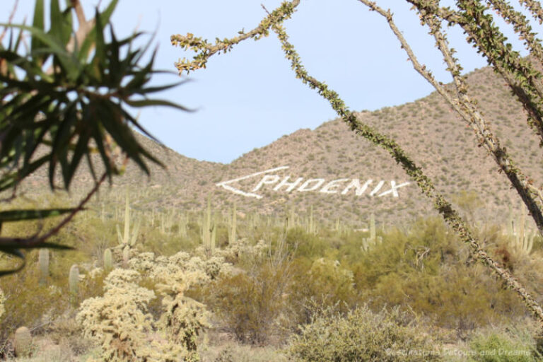 Ten Things To Do In Phoenix, Arizona