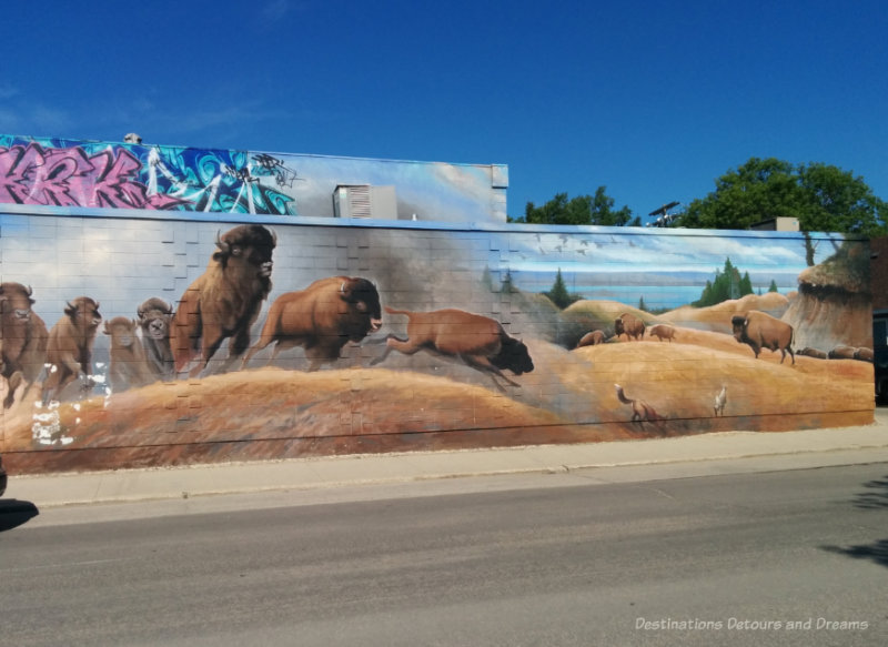 A mural on the wall of a building showing a herd of bison and a lake