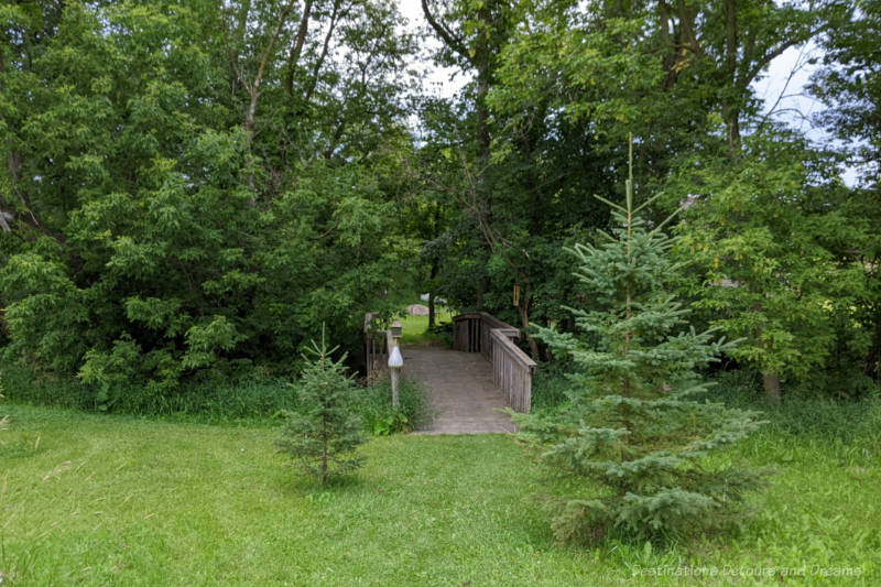 Wooden bridge through a patch of trees at the end of grassy expanse