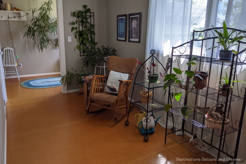 Hallway nook with wooden rocking chairs and shelves of plants in front of a large window