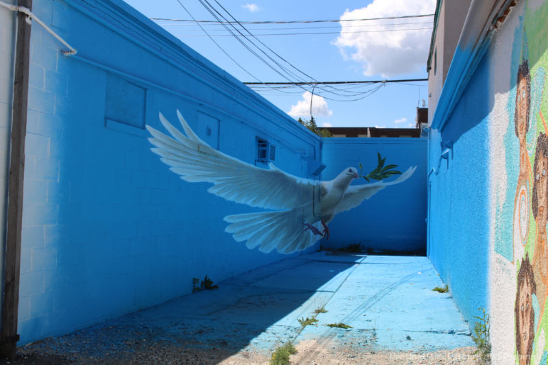 Murals on the three sides of dead end alley painted blue showing a large white dove that appears to fly out of the wall