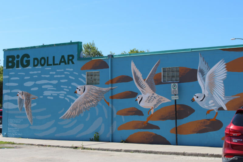 Mural on the side of a building featuring piping plovers on a blue background