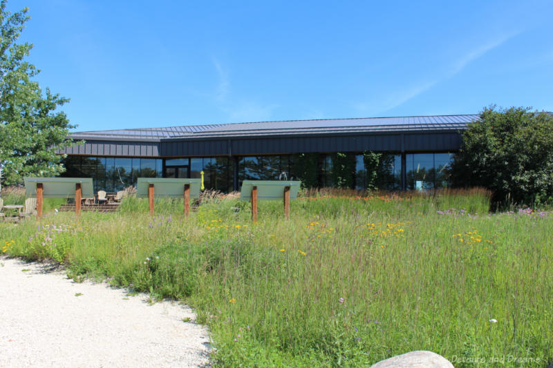 A field of tall grass prairie with a single story building with gray roof and a wall of windows in the backgroun