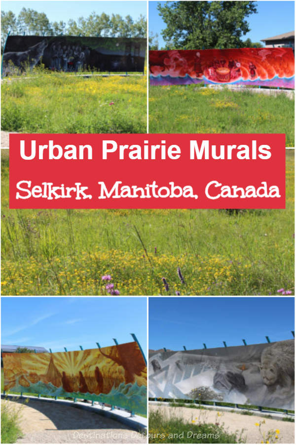 Urban Prairie And Murals In Selkirk - A tail grass prairie field in  the Selkirk, Manitoba, Canada, contains a set of meaningful murals