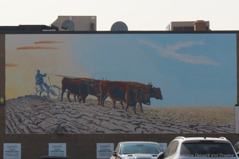 Moose Jaw Murals Breaking Ground Mural depicting farmer breaking ground pulled by a team of four cattle