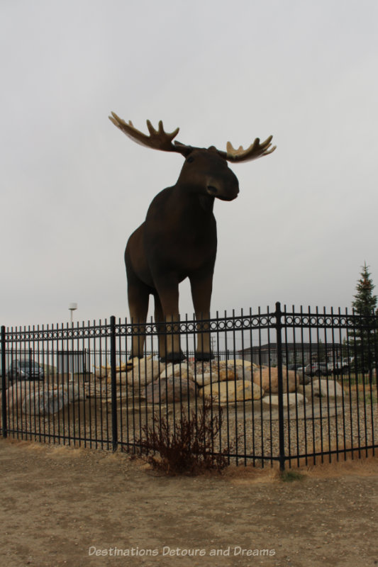 Outdoor statue of a giant moose with antlers 