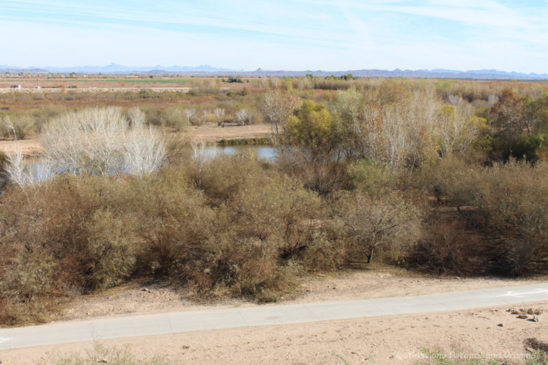 Yuma East Wetlands viewed from Yuma Territorial Prison State Historic Park