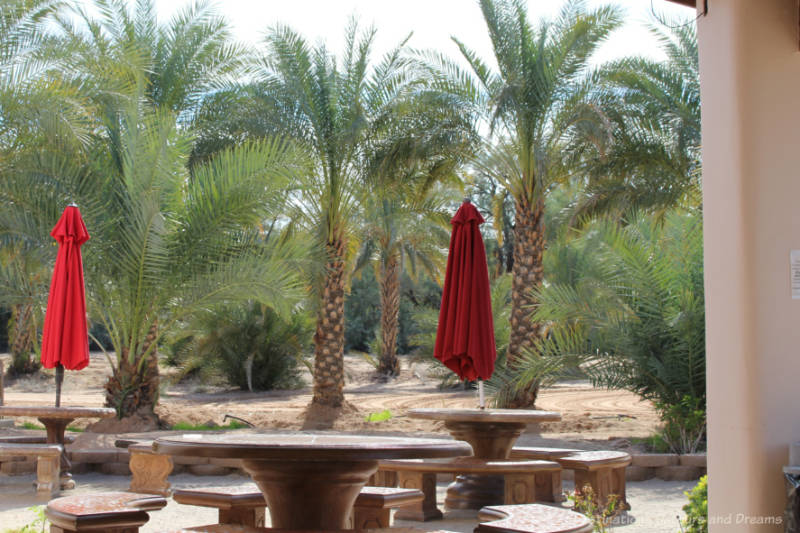 Patio area with round stone tables and benches overlooking a date orchard