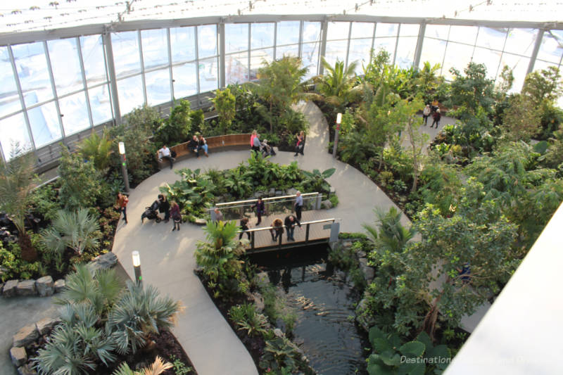 Aerial view of the tropical biome at The Leaf indoor garden