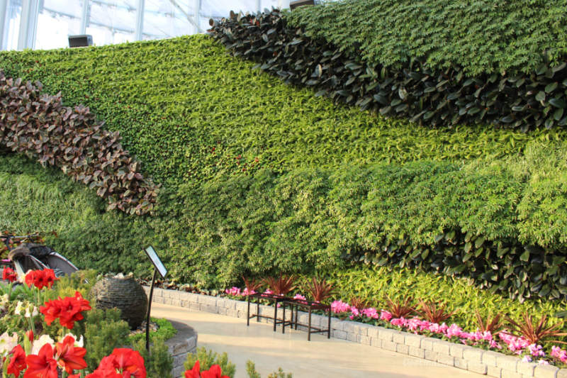 The Leaf Vertical Wall A vertical indoor garden wall contains thousands of tropical plants in a varying shades.