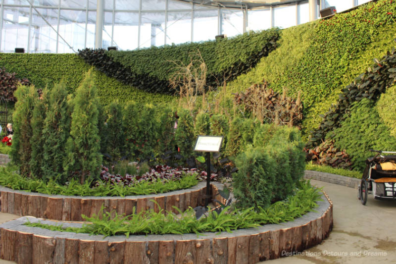 A wall of plants in background and a circular garden of greenery in foreground at an conservatory