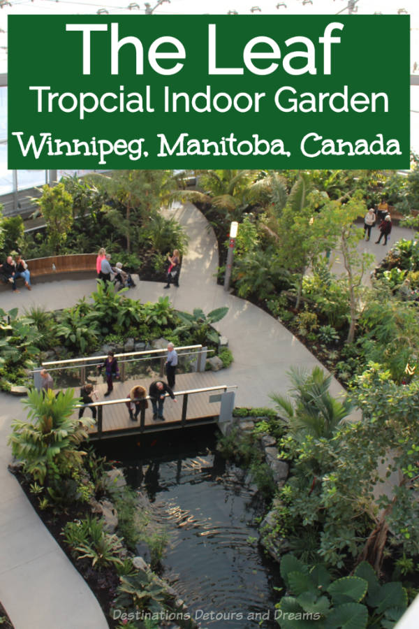 The Leaf Tropical Gardens - The Leaf in Winnipeg, Manitoba, Canada is a conservatory containing tropical and Mediterranean gardens as well as a butterfly garden