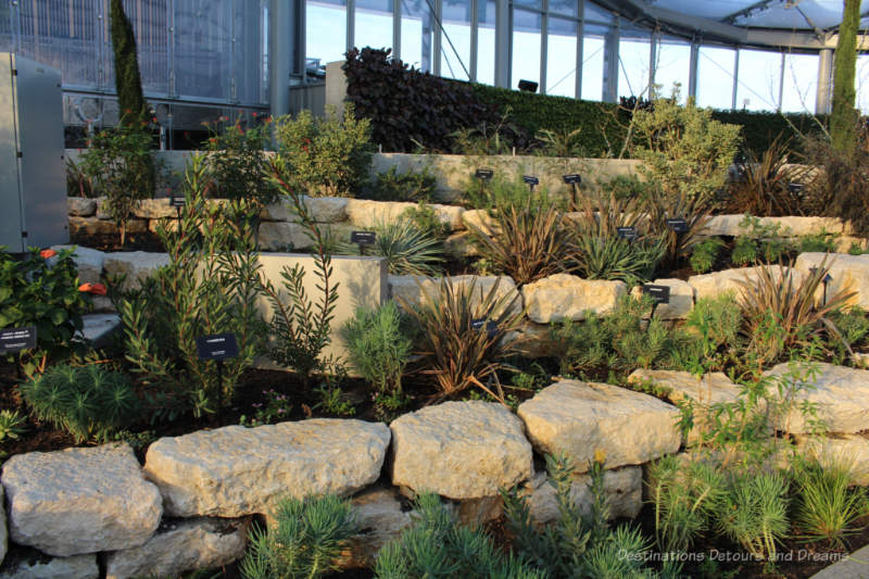 Brick-lined terraces on an indoor Mediterranean garden