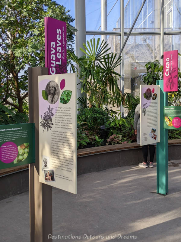 Signage about some of the plants at The Leaf indoor tropical garden