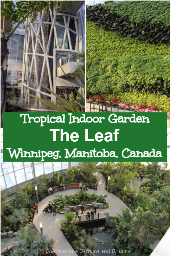 The Leaf Tropical Gardens - The Leaf in Winnipeg, Manitoba, Canada is a conservatory containing tropical and Mediterranean gardens as well as a butterfly garden