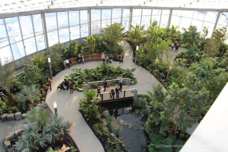 The Leaf Aerial view of indoor tropical gardens with pathways and koi pond