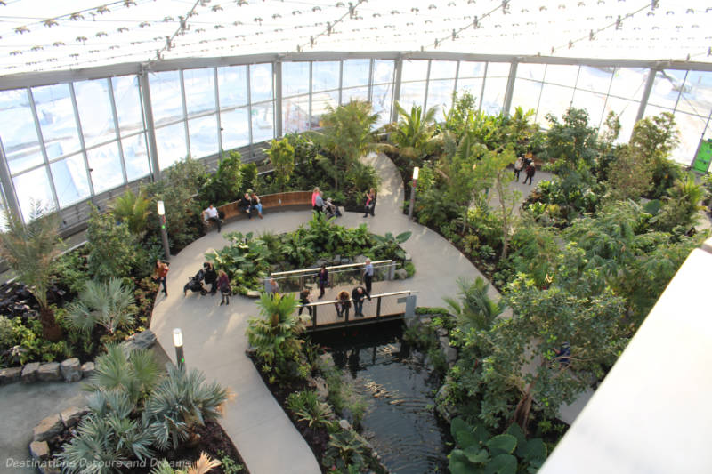 Aerial view of a tropical indoor garden
