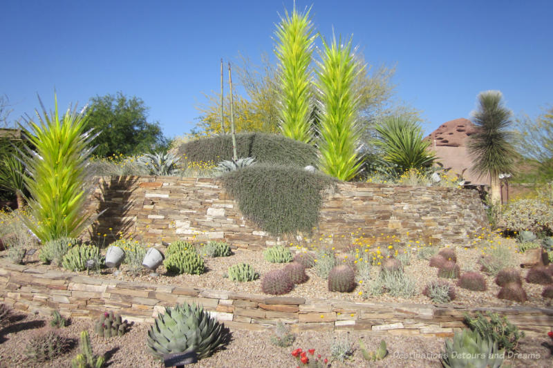 Stone wall, green tree Chihuly art, and wildflowers at the entrance to Desert Botanical Garden in Phoenix, Arizona