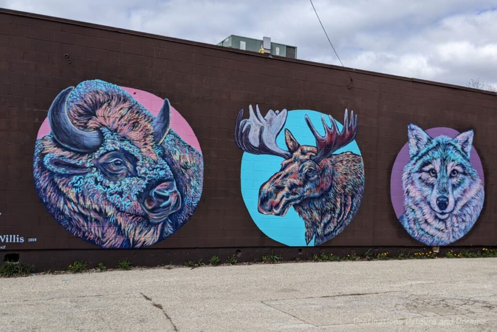 A mural of Manitoba Spirit Animals features 3 animals each in a circle - bison, moose, and wolf