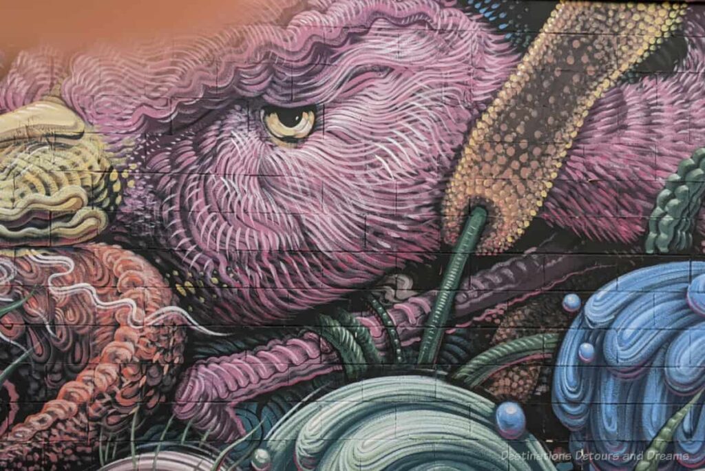 Close up of a part of mural showing pink sea creature with penetrating eye