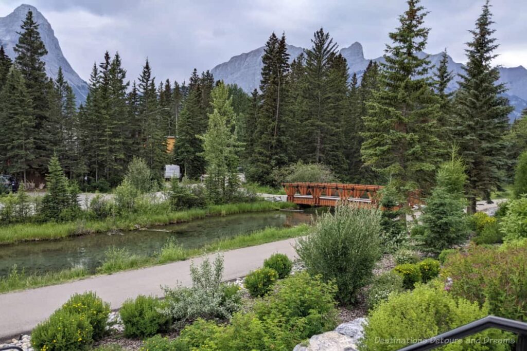 Path along creek lined with evergreen trees and a view of the mountains in the background