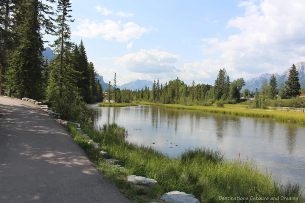 Creek bordered with trees and a view of the mountains