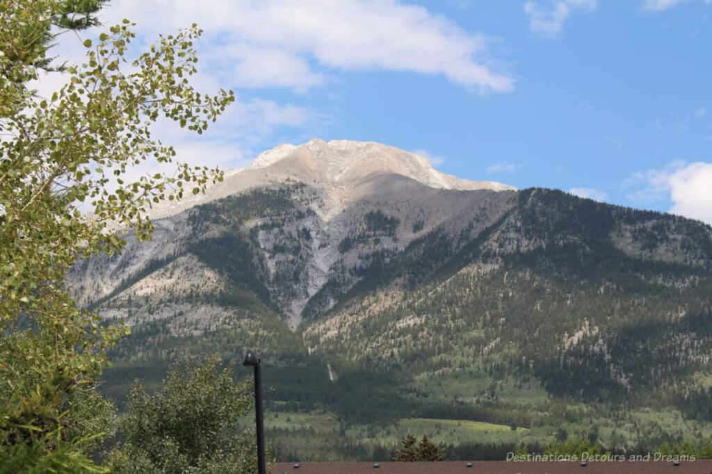 View of a mountain covered in green trees for bottom three-quarters and white-grey peak at top