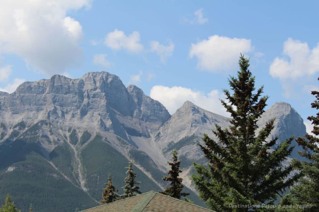 Gray mountain peaks with fir trees in foreground