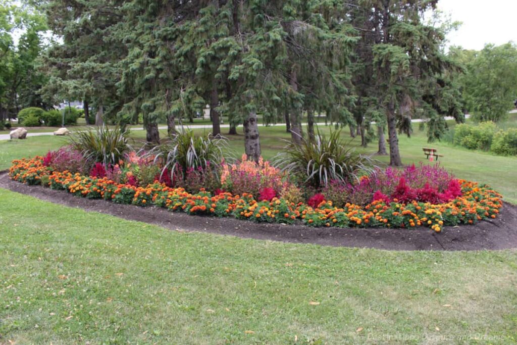 Oval shaped flower bed containing colours of orange, coral, and deep pink in front of a group of trees