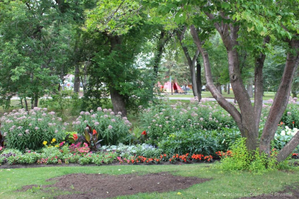 Flower bed with shrubs and flowers nestled among trees