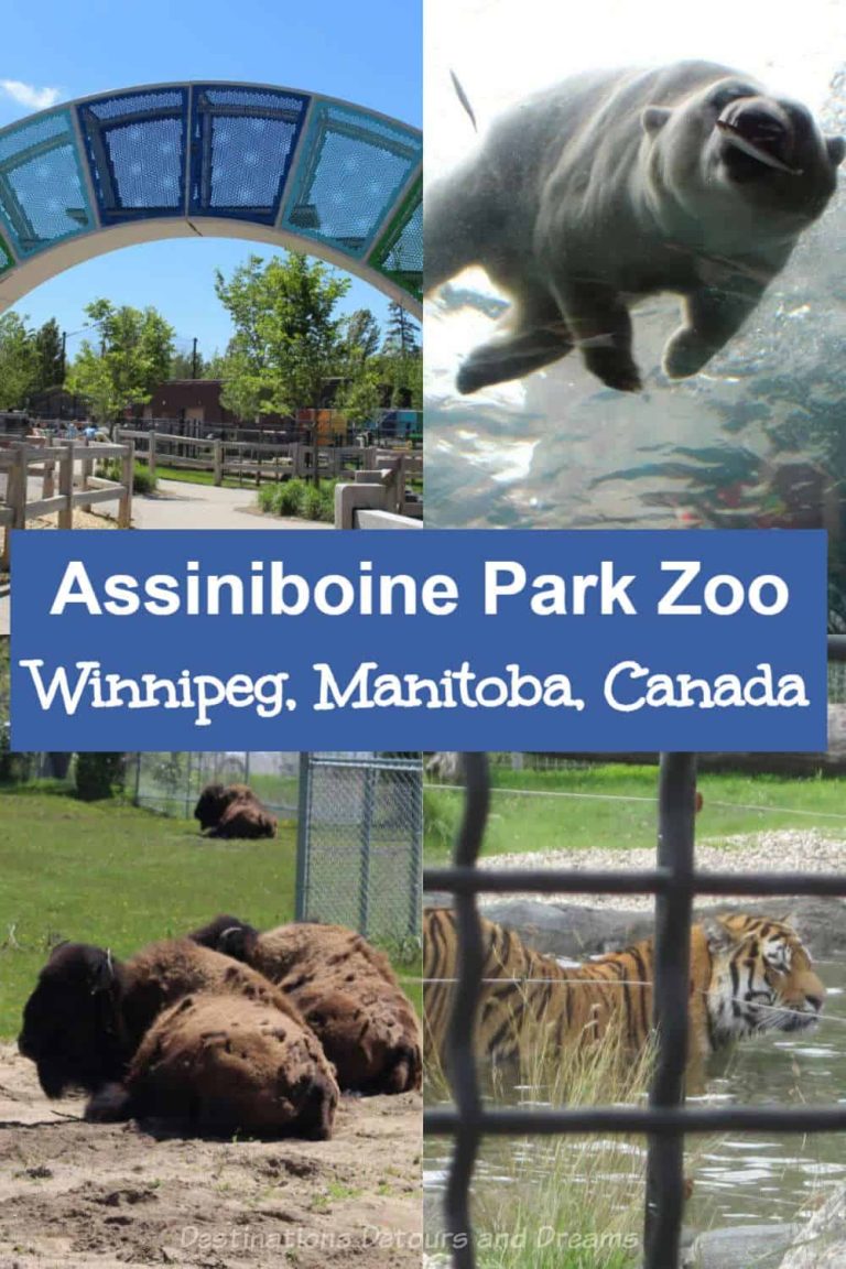 assiniboineparzoowinnipegmanitoba Destinations Detours and Dreams