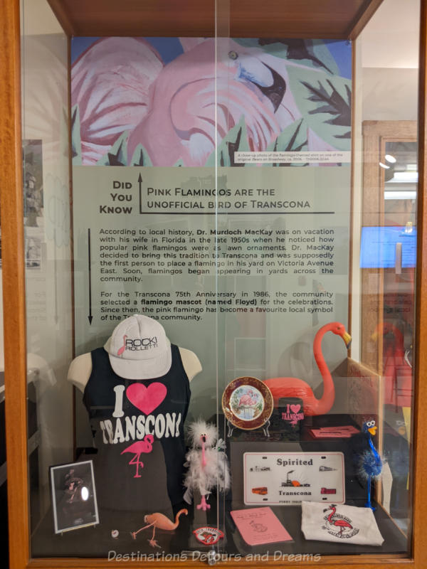 Transcona Museum Pink Flamingo Museum display case with pink flamingo memorabilia