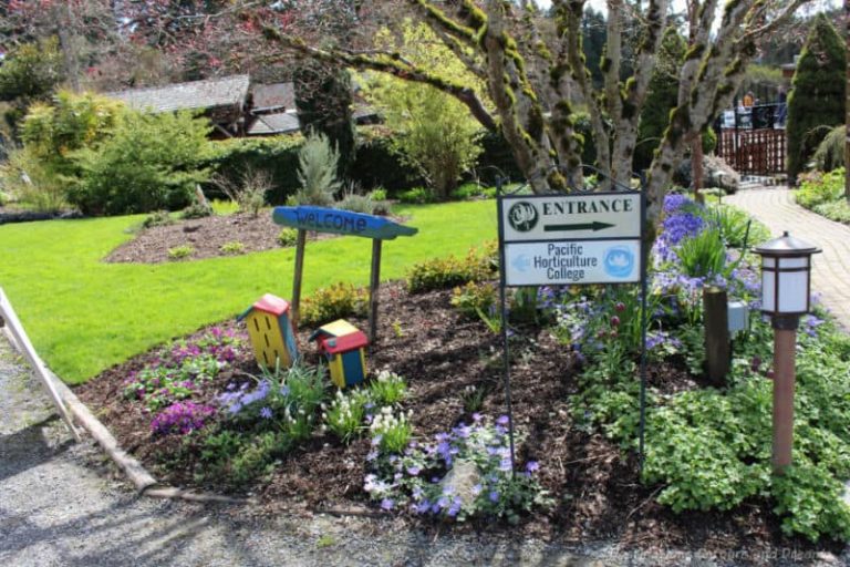The Gardens At HCP Victoria