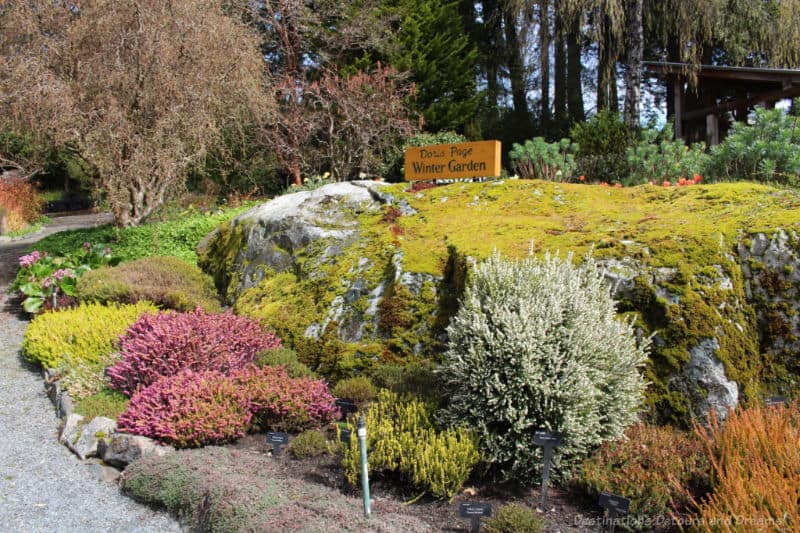 Gardens at HCP Winter Garden Rocky garden area features moss and various coloured foliage in a winter garden
