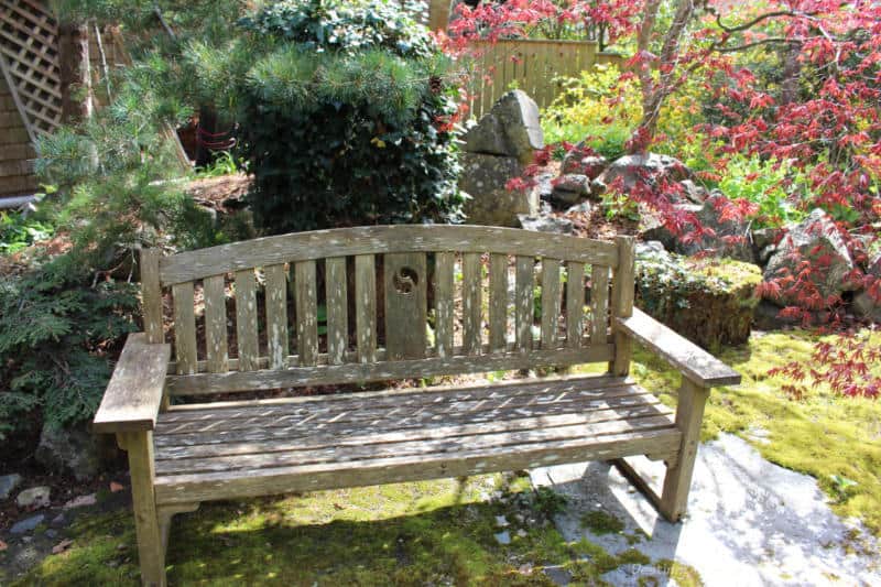 Helen Stewart Garden Bench Wooden bench in a garden