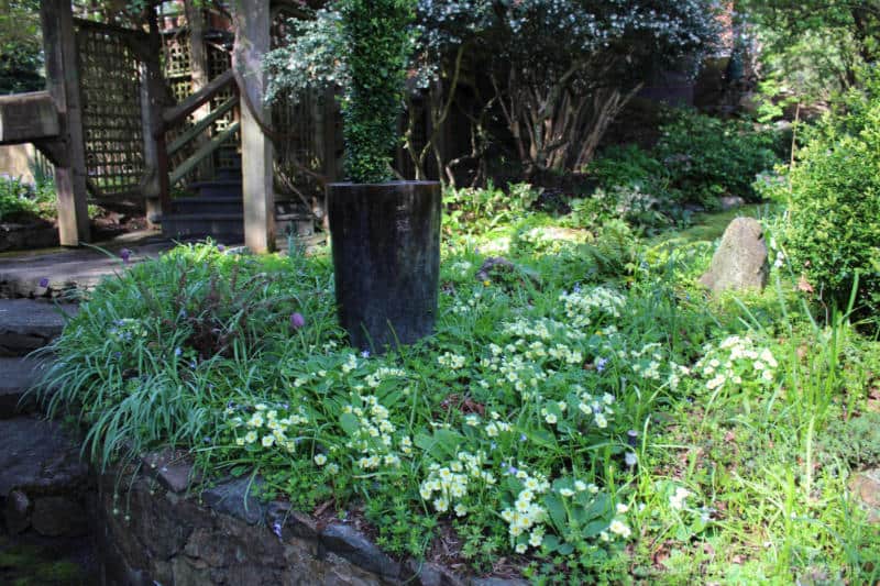 Helen Stewart Garden Front Yard Shaded garden in front yard of house