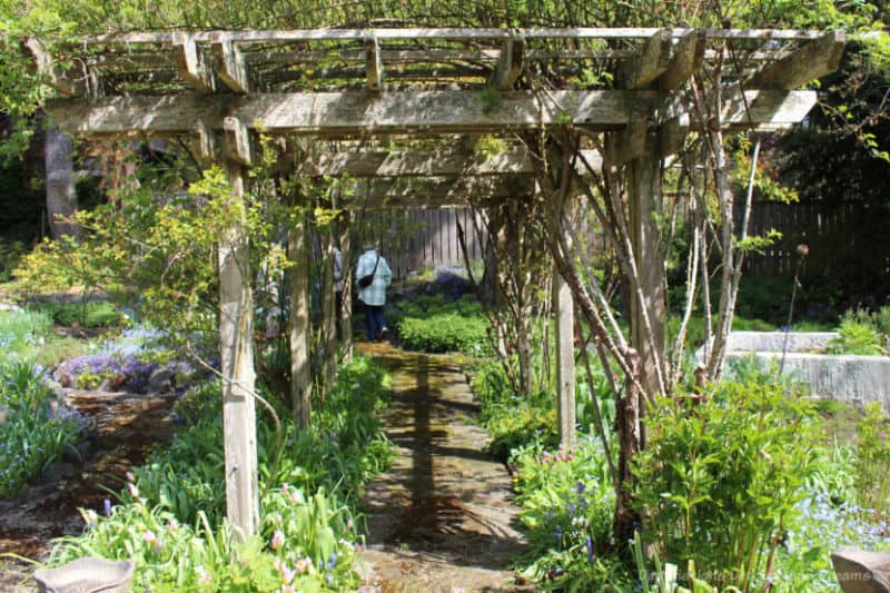 Helen Stewart Garden Trellis Wooden trellis pathway in a garden